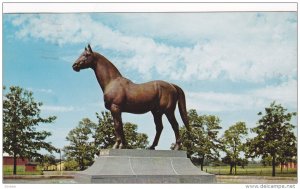 Man O War Statue,  Faraway Farm,  Lexington,  Kentucky,  PU_1960