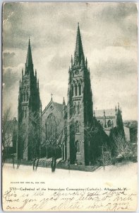 VINTAGE POSTCARD CATHOLIC CATHEDRAL OF THE IMMACULATE CONCEPTION ALBANY NY 1905