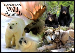 Reflections of Canada - Canadian Wild Animals ~ Cont'l