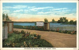 Onset Massachusetts MA Young Bros Farm Entrance c1920s-30s Postcard