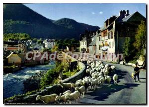 Postcard Modern Vallee D'Aure Back From High Mountain ARREAU