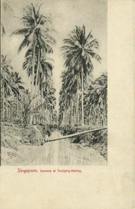 PC CPA SINGAPORE, SCENERY AT TANDJONG KATONG, Vintage Postcard (b22759)