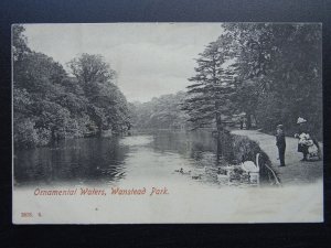 London Redbridge WANSTEAD PARK Ornamental Waters FEEDING SWANS c1906 Postcard