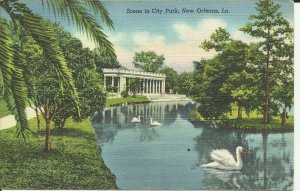 New Orleans,La., Scene In City Park