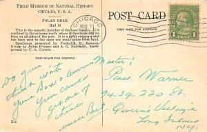 Polar Bear Chicago, IL, USA Postcard