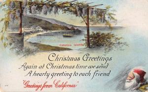 Christmas Greetings from California Catalina Islands Santa Postcard J73269