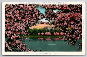 Lincoln Memorial From Across The Potomac Beautiful Cherry Blossoms Postcard M23