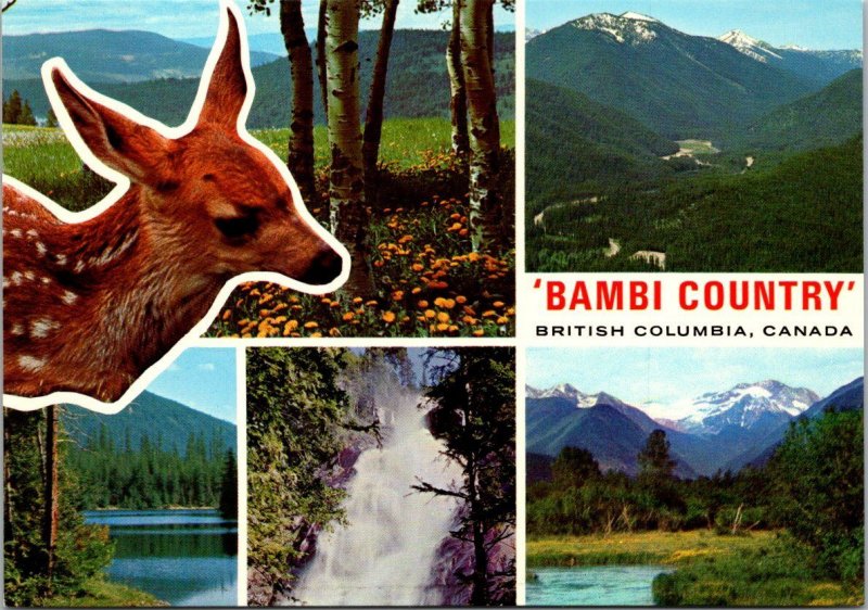 Canada British Columbia Bambi Deer Country