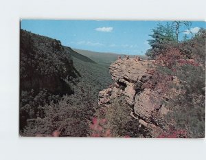 Postcard Cloudland Canyon State Park Rising Fawn Georgia USA