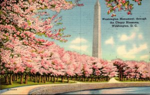 Washington D C The Washington Monument Through The Cherry Blossoms 1940