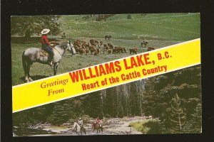Postmarked 1959 Williams Lake BC Heart of Cattle Country Postcard