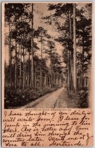 1906 The Plantation Road Brunswick Georgia GA Trees Pathway Posted Postcard