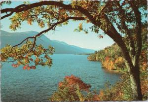 Lake George NY New York Tongue Mtns Black Mtns Unused Postcard D54