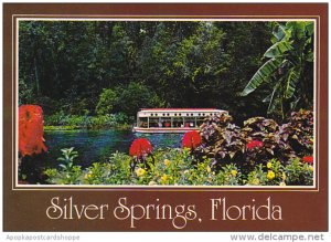 Glass Bottom Boat Silver Springs Florida