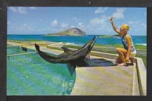 Porpoise,Sea Life Park,Makapuu Point,Oahu,HI Postcard 