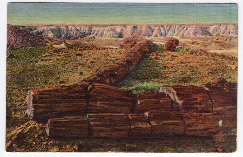 Petrified Forest, Arizona, The Twin Sisters (In Second Forest)