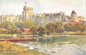 BR80631 windsor castle postcard   uk