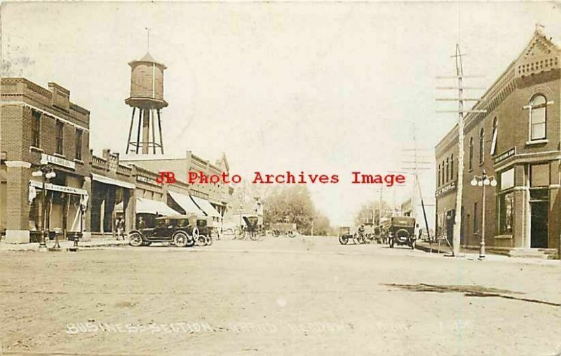 MN, Grand Meadow, Minnesota, RPPC, Second Street, Business Section, Stores