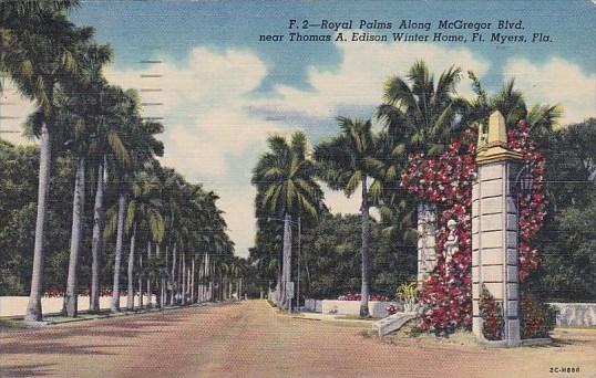 Royal Palms Along Mcgregor Boulevard Near Thomas A Edison Winter Home Fort My...