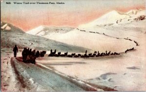 Winter Trail Over Thomson Pass, Dogsleds AK Vintage Postcard O54