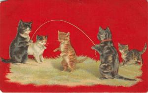 F14/ Cat Animal Postcard 1909 Cats Jumping Rope Games Humanized 5