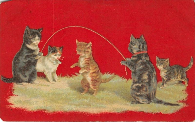 F14/ Cat Animal Postcard 1909 Cats Jumping Rope Games Humanized 5