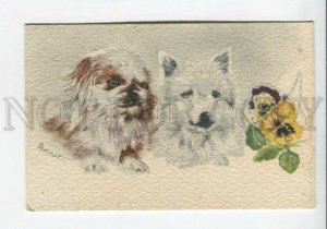 440013 BERNET Dog PEKINGESE White Terrier PANSY Vintage postcard FRANCE