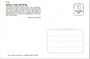 Erupting Mount St Helens Washington Volcano Ash Cloud 1980 6x4 Postcard CF5