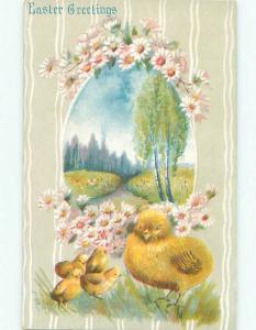 Divided-Back EASTER CHICK SCENE Cute Postcard AA0930