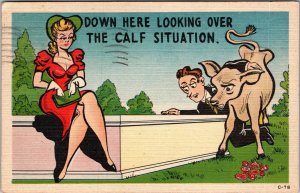 Postcard Comic Cow Risqué Woman PM Batavia NY JH7