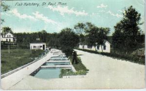 ST PAUL, MN Minnesota  FISH  HATCHERY   c1910s    Postcard