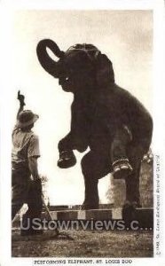 Performing Elephant in St. Louis, Missouri