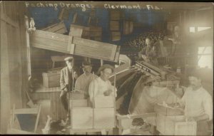 Clermont FL Packing Oranges c1910 Real Photo Postcard
