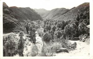 Frashers RPPC Postcard; Palm Canyon, Palm Springs CA Trail & Creek, Posted 1943