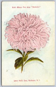 K50/ Rochester New York Postcard c1910 Vick's Mikado & Sons Garden Ad 146
