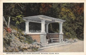Mackinac Island Michigan 1924 Postcard Dwightwood spring East Shore Boulevard
