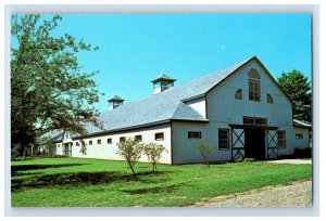 Vintage Kentucky Horse Park Lexington, KY. Postcard F123