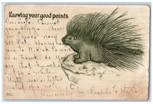 c1905 Knowing Your Good Points Porcupine Taopi Minnesota MN Antique Postcard