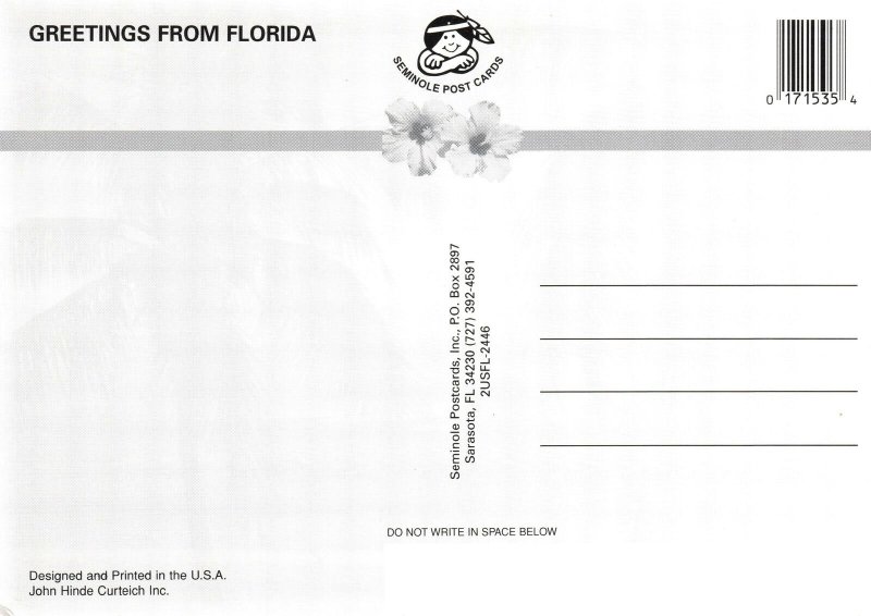 VINTAGE CONTINENTAL SIZE POSTCARD FLORIDA SEA SHELLS