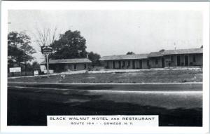 OSWEGO, New York  NY    Roadside  BLACK WALNUT MOTEL  1964    Postcard