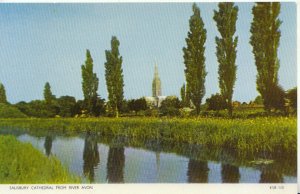 Wiltshire Postcard - Salisbury Cathedral from River Avon - Ref TZ9070