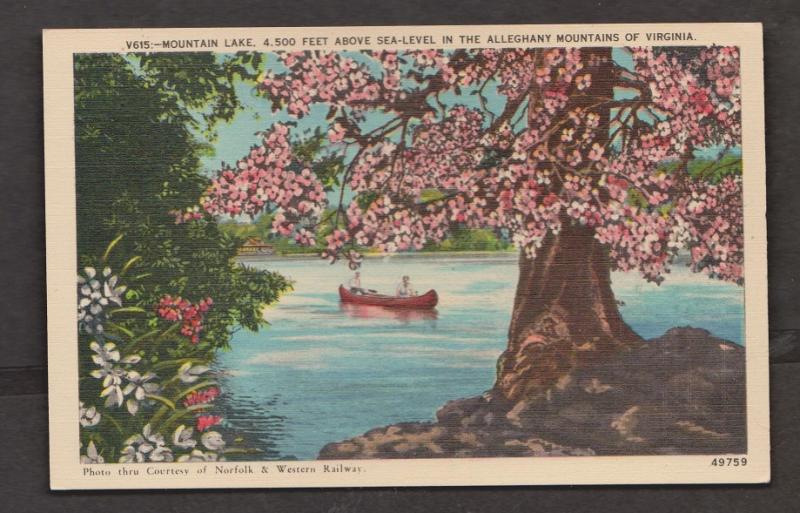 Mountain Lake In The Alleghany Mountains Virginia - Unused c1925