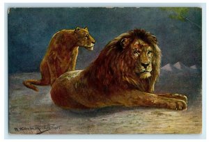 c1910's Lion And Lioness Painting Artist Signed Savannah Africa Postcard 