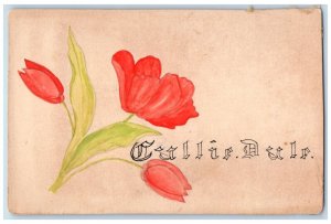 c1905 Red Flowers Hand Drawn Painted Art East Lynne Missouri MO Antique Postcard