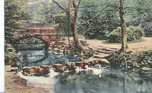 Northumberland Postcard - Stepping Stones - Jesmond Dene - Newcastle    1950