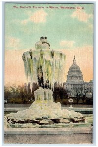 1911 The Bartholdi Fountain Park In Winter Washington D.C Antique Postcard