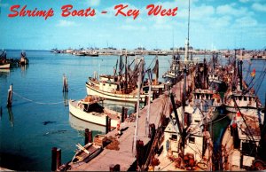 Florida Shrimp Boats At Dock In The Harbor