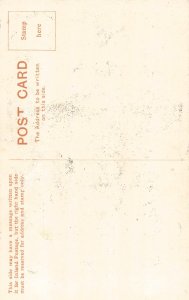 Art by Harry Rountree Animals Humanized Bear Snow Awfully Cold postcard  B923