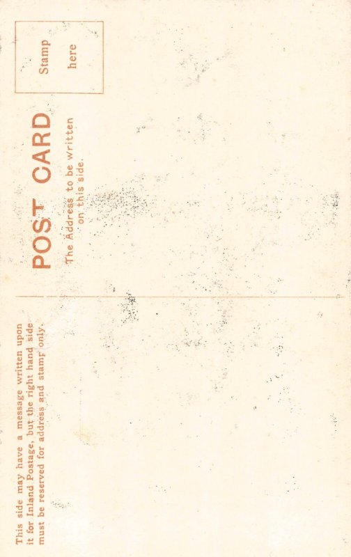 Art by Harry Rountree Animals Humanized Bear Snow Awfully Cold postcard  B923