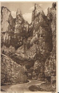 Somerset Postcard - Cheddar Gorge - The Pinnacles - Ref TZ3750